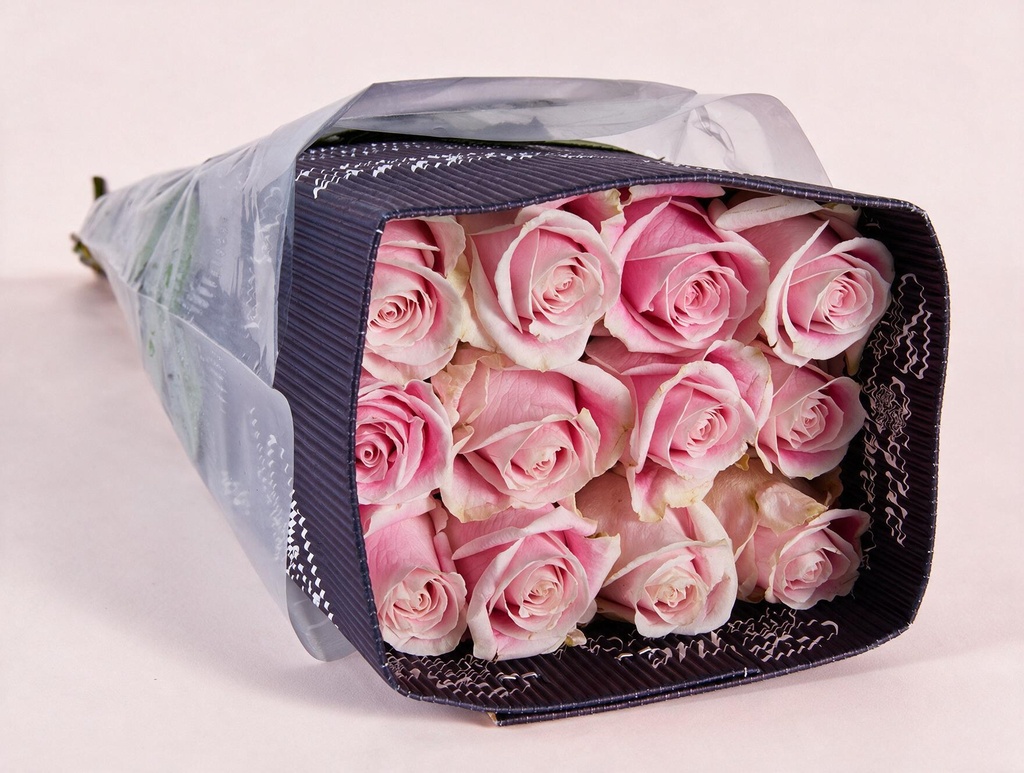 Rose - Rosita Vendela