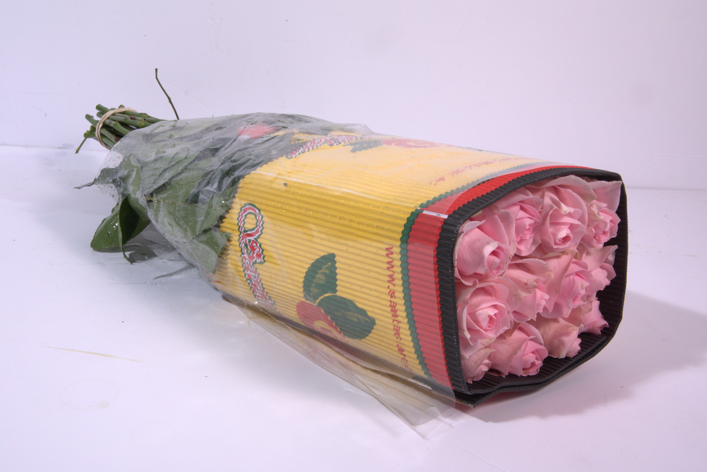 Pink Roses