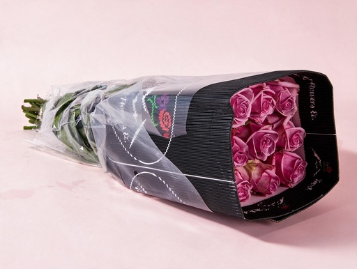 Rose Cool Water